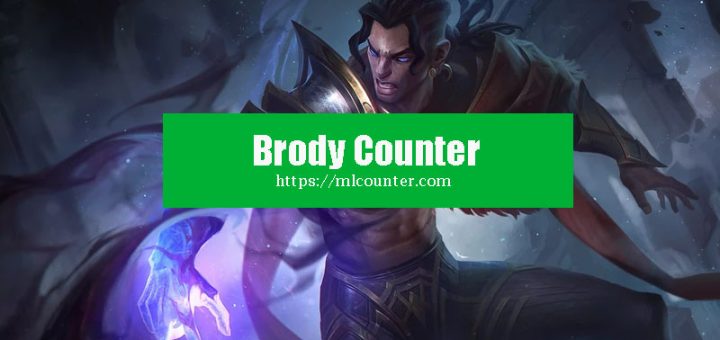 Brody ML Counter
